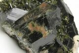 Lustrous, Epidote Crystal Cluster on Actinolite - Pakistan #213444-2